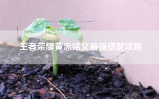 王者荣耀黄忠铭文最强搭配攻略