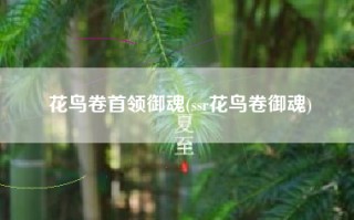 花鸟卷首领御魂(ssr花鸟卷御魂)