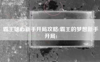 霸王雄心新手开局攻略(霸王的梦想新手开局)