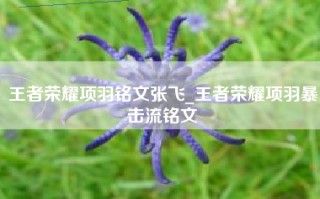 王者荣耀项羽铭文张飞_王者荣耀项羽暴击流铭文