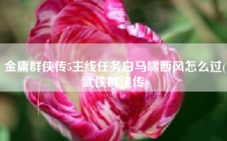 金庸群侠传5主线任务白马啸西风怎么过(武侠群侠传)