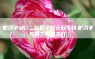 肥鹅健身房二级橘子籽获取攻略(肥鹅健身房二级橘子籽)