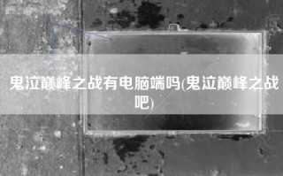 鬼泣巅峰之战有电脑端吗(鬼泣巅峰之战吧)