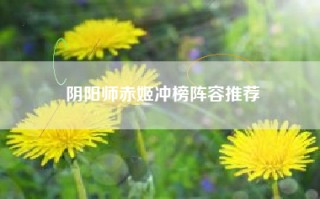 阴阳师赤姬冲榜阵容推荐