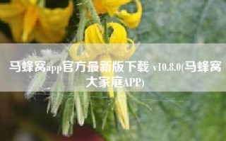 马蜂窝app官方最新版下载 v10.8.0(马蜂窝大家庭APP)