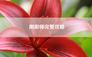阴阳师完整攻略
