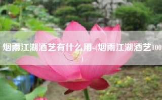 烟雨江湖酒艺有什么用-(烟雨江湖酒艺100)