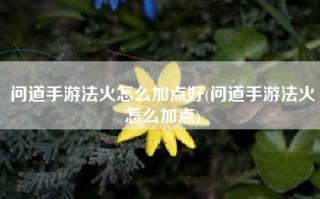 问道手游法火怎么加点好(问道手游法火怎么加点)