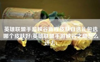 英雄联盟手游峡谷新程皮肤自选礼包选哪个皮肤好(英雄联盟手游峡谷之巅怎么进去)