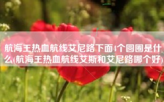 航海王热血航线艾尼路下面4个圆圈是什么(航海王热血航线艾斯和艾尼路哪个好)