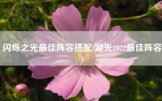 闪烁之光最佳阵容搭配(凝光2022最佳阵容)