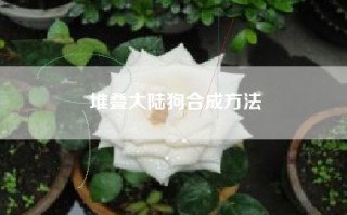 堆叠大陆狗合成方法
