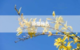 新婚梅古