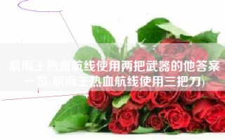 航海王热血航线使用两把武器的他答案一览(航海王热血航线使用三把刀)