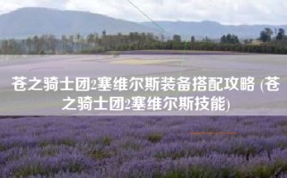 苍之骑士团2塞维尔斯装备搭配攻略 (苍之骑士团2塞维尔斯技能)