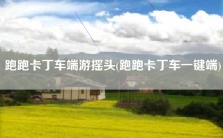跑跑卡丁车端游摇头(跑跑卡丁车一键端)