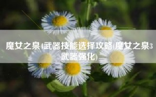 魔女之泉4武器技能选择攻略(魔女之泉3武器强化)