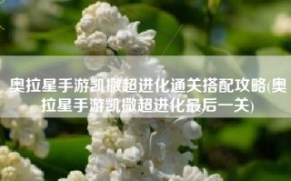 奥拉星手游凯撒超进化通关搭配攻略(奥拉星手游凯撒超进化最后一关)