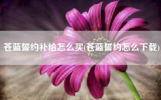 苍蓝誓约补给怎么买(苍蓝誓约怎么下载)