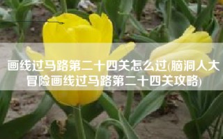 画线过马路第二十四关怎么过(脑洞人大冒险画线过马路第二十四关攻略)