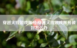 穿越火线游戏帐号,穿越火线游戏账号被封怎么办