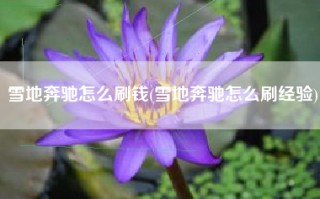 雪地奔驰怎么刷钱(雪地奔驰怎么刷经验)