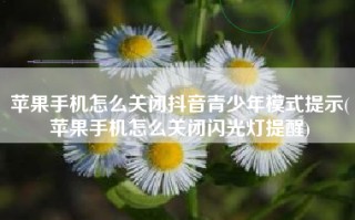 苹果手机怎么关闭抖音青少年模式提示(苹果手机怎么关闭闪光灯提醒)
