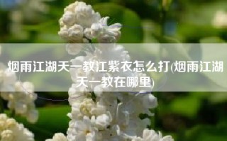 烟雨江湖天一教江紫衣怎么打(烟雨江湖天一教在哪里)