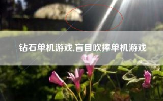 钻石单机游戏,盲目吹捧单机游戏