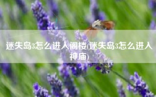 迷失岛3怎么进入阁楼(迷失岛3怎么进入神庙)