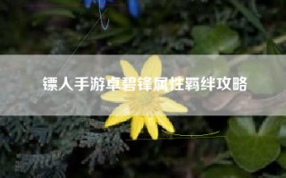 镖人手游卓碧锋属性羁绊攻略