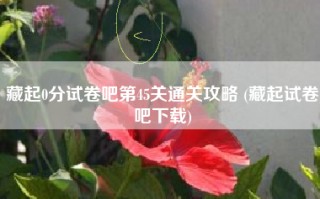 藏起0分试卷吧第45关通关攻略 (藏起试卷吧下载)