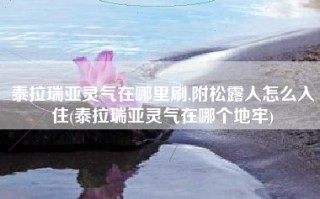 泰拉瑞亚灵气在哪里刷,附松露人怎么入住(泰拉瑞亚灵气在哪个地牢)