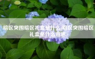暗区突围暗区礼盒是什么(暗区突围暗区礼盒是什么意思)