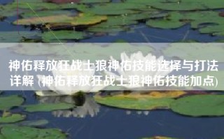 神佑释放狂战士狼神佑技能选择与打法详解 (神佑释放狂战士狼神佑技能加点)