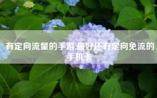有定向流量的手游,最好还有定向免流的手机卡