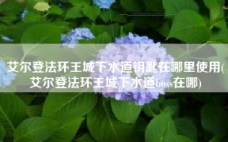 艾尔登法环王城下水道钥匙在哪里使用(艾尔登法环王城下水道boss在哪)