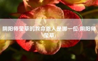 阴阳师莹草的救命恩人是哪一位(阴阳师 莹草)