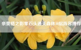 奈奥格之影零石头通关森林30层阵容推荐