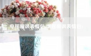 电摇嘲讽表情包(电摇嘲讽表情包)