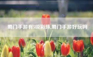 蜀门手游有5级彩珠,蜀门手游好玩吗