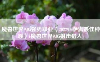 魔兽世界9.05强势职业（20229.0萨满最佳种族）(魔兽世界9.05射击猎人)