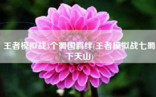 王者模拟战3个蜀国羁绊(王者模拟战七蜀下天山)