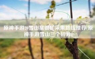 原神手游20雪山星银矿采集路线推荐(原神手游雪山三个碎片)