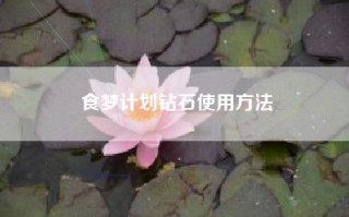 食梦计划钻石使用方法