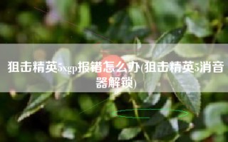 狙击精英5xgp报错怎么办(狙击精英5消音器解锁)
