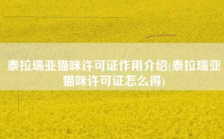 泰拉瑞亚猫咪许可证作用介绍(泰拉瑞亚猫咪许可证怎么得)