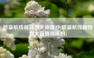 碧蓝航线腓特烈大帝婚纱(碧蓝航线腓特烈大帝值得练吗)