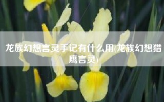 龙族幻想言灵手记有什么用(龙族幻想猎鹰言灵)