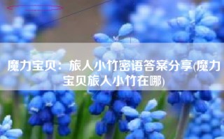 魔力宝贝：旅人小竹密语答案分享(魔力宝贝旅人小竹在哪)